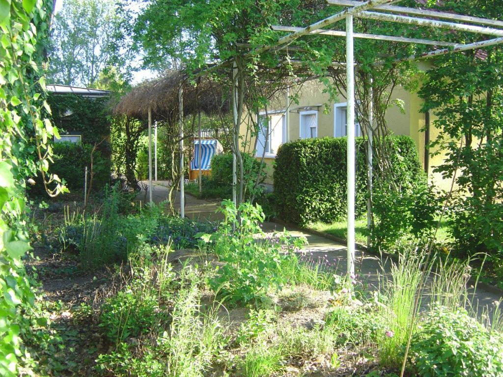 Landhotel Kiebitzort Ruegen Ummanz Exteriör bild